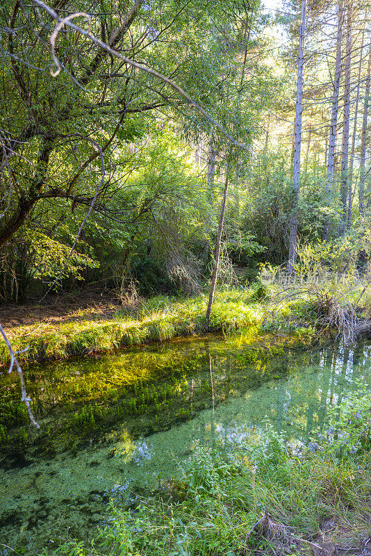 西班牙Cuenca serranin的Escabas river的Lagunillos